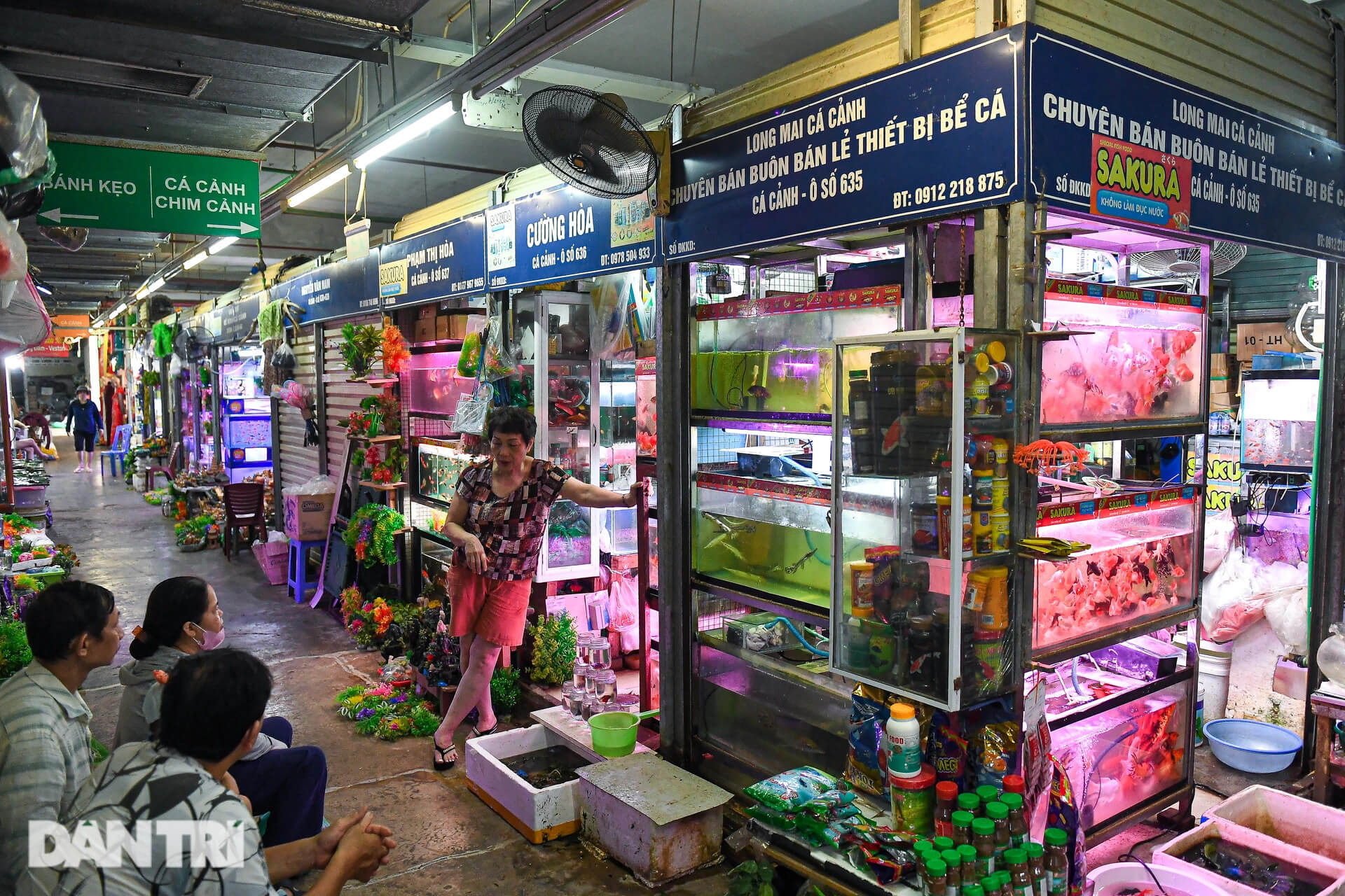 Chợ Mơ Hà Nội – Tất tần tật thông tin bạn cần biết